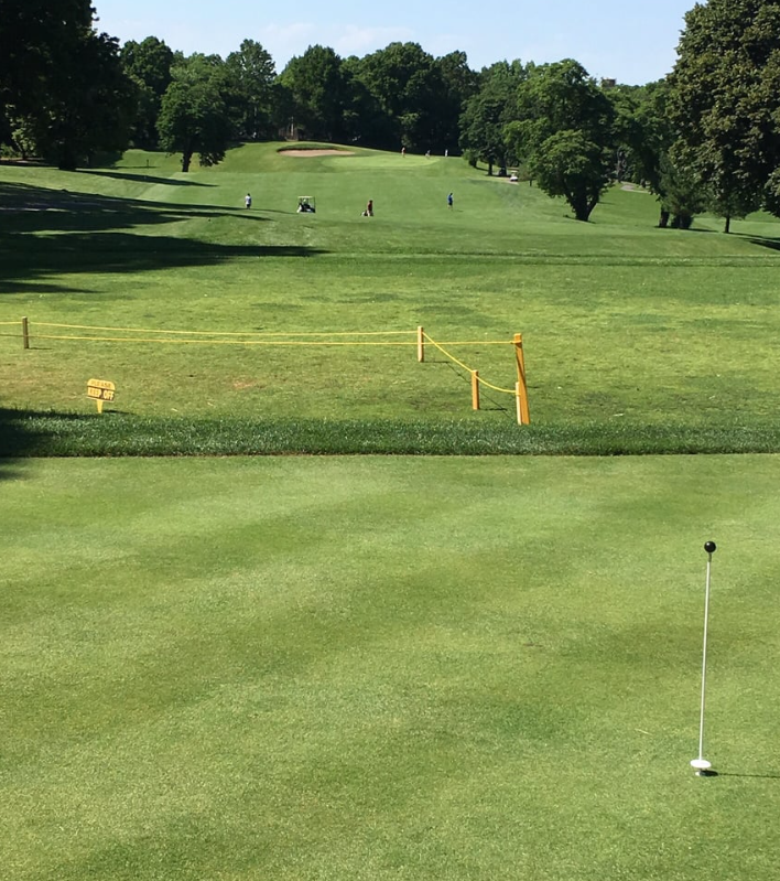 Forest Park Golf Course - Golf Course
