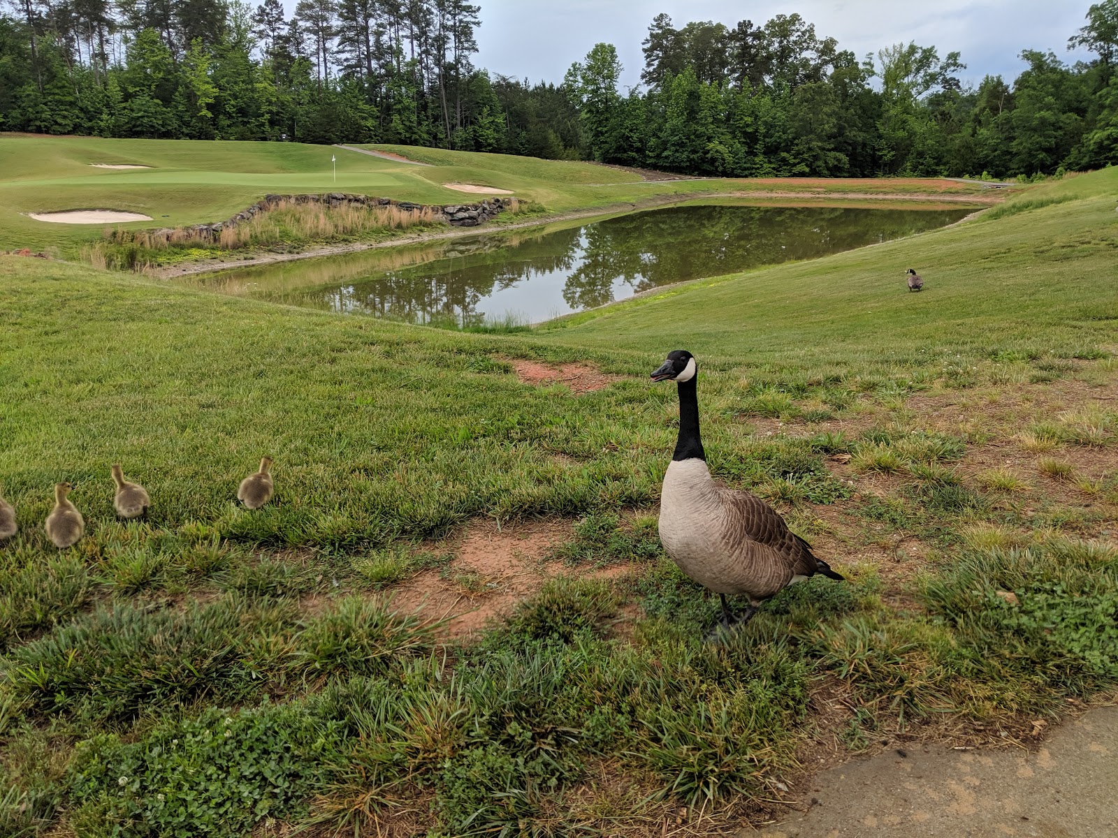 Red Bridge Golf Club