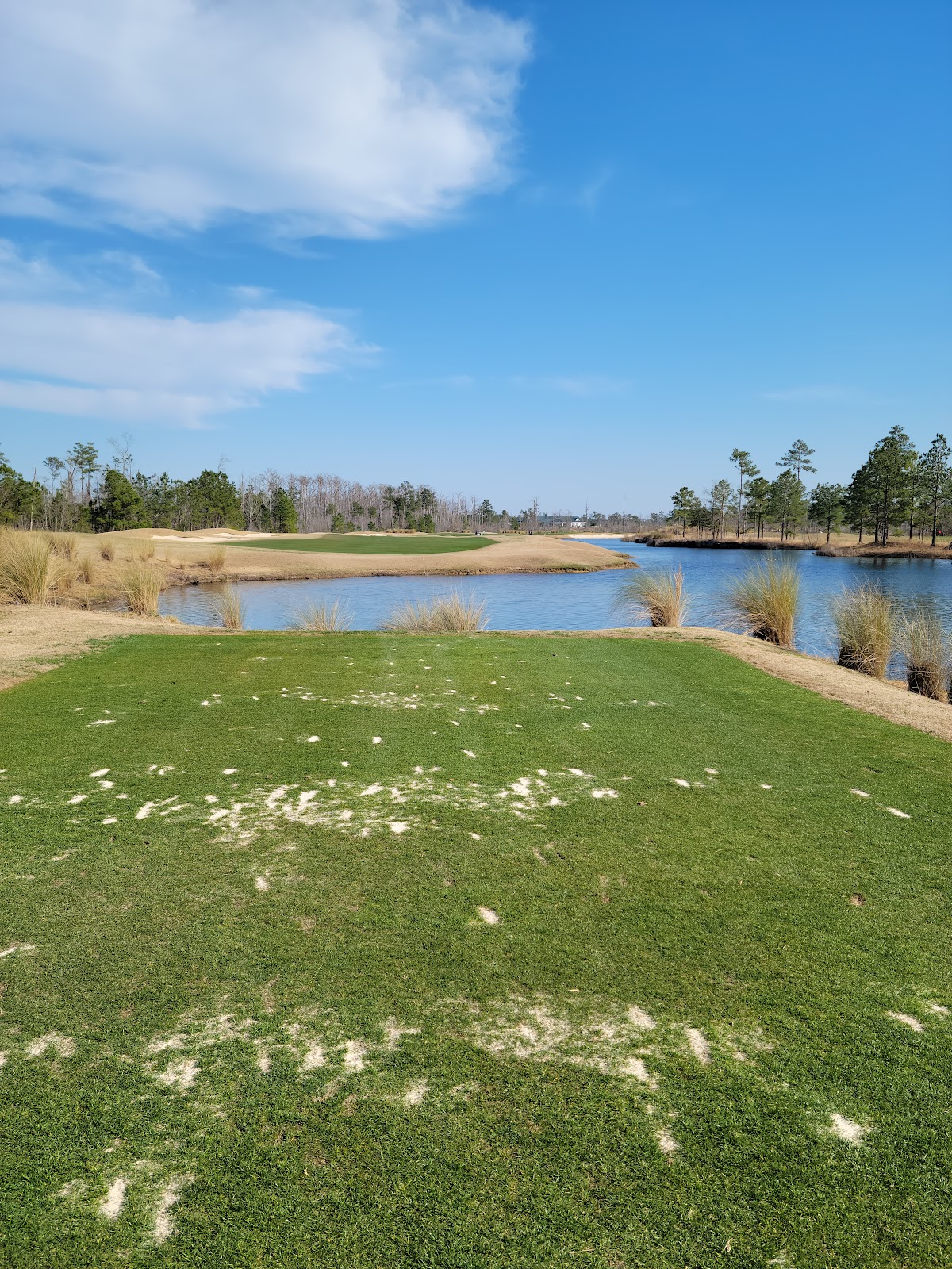 Cape Fear National Golf Course at Brunswick Forest - Golf Course