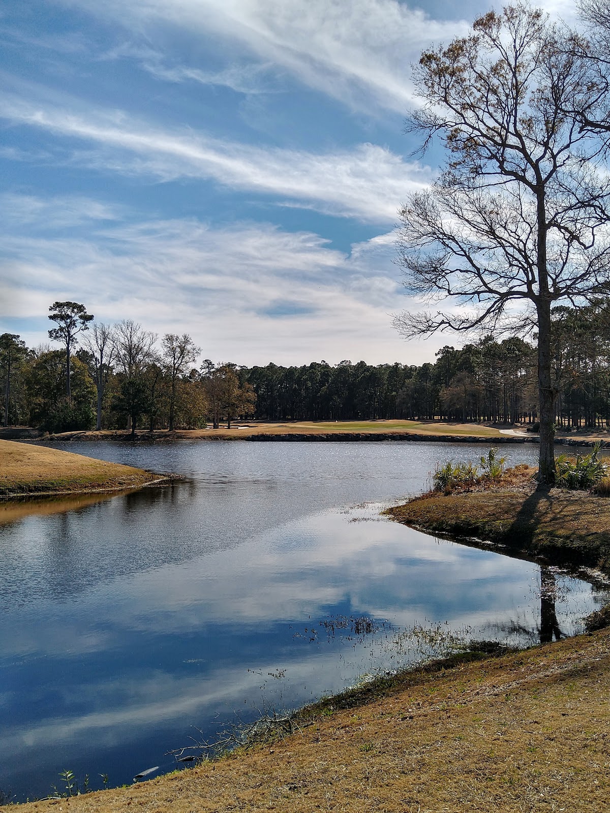 Ocean Ridge Plantation Golf - Golf Course