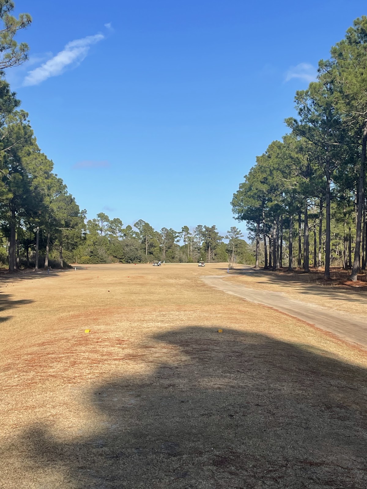 Olde Fort Golf Course - Golf Course