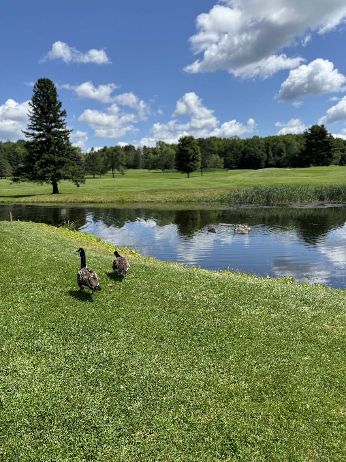 Williston Country Club