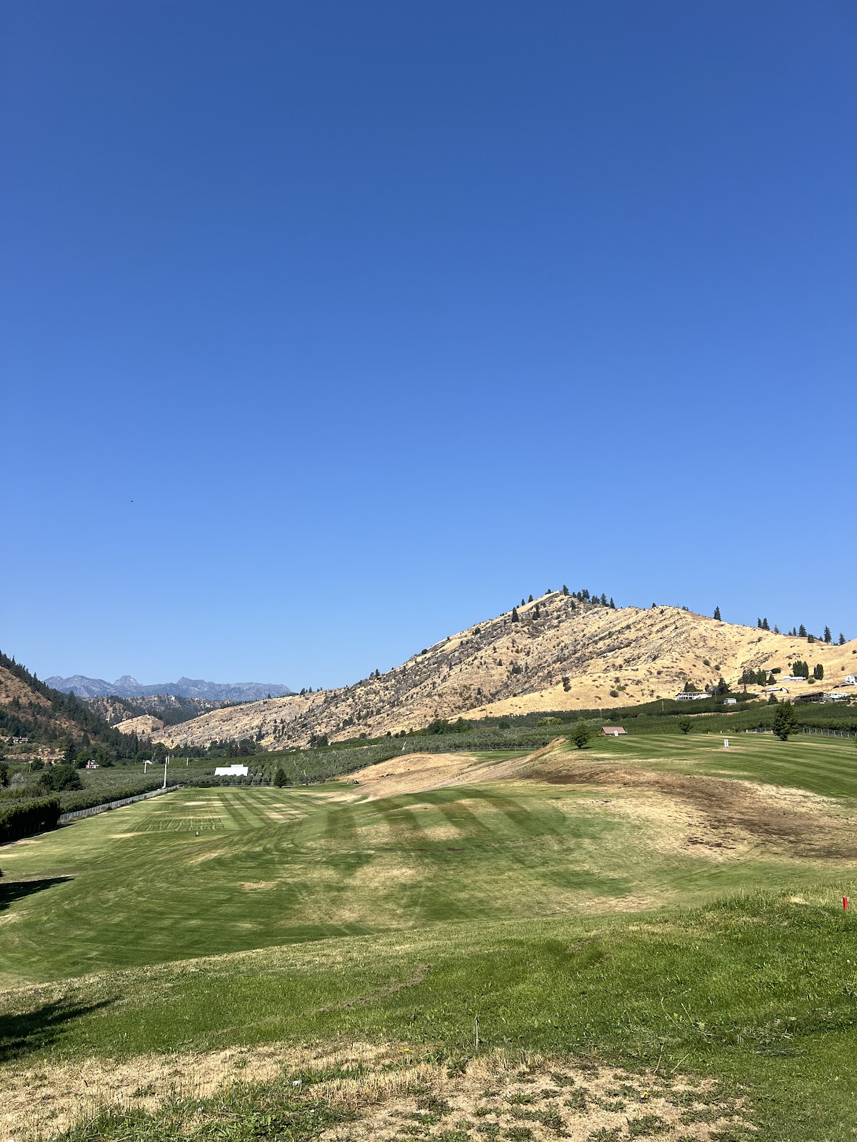 Mt Cashmere Golf Course - Golf Course
