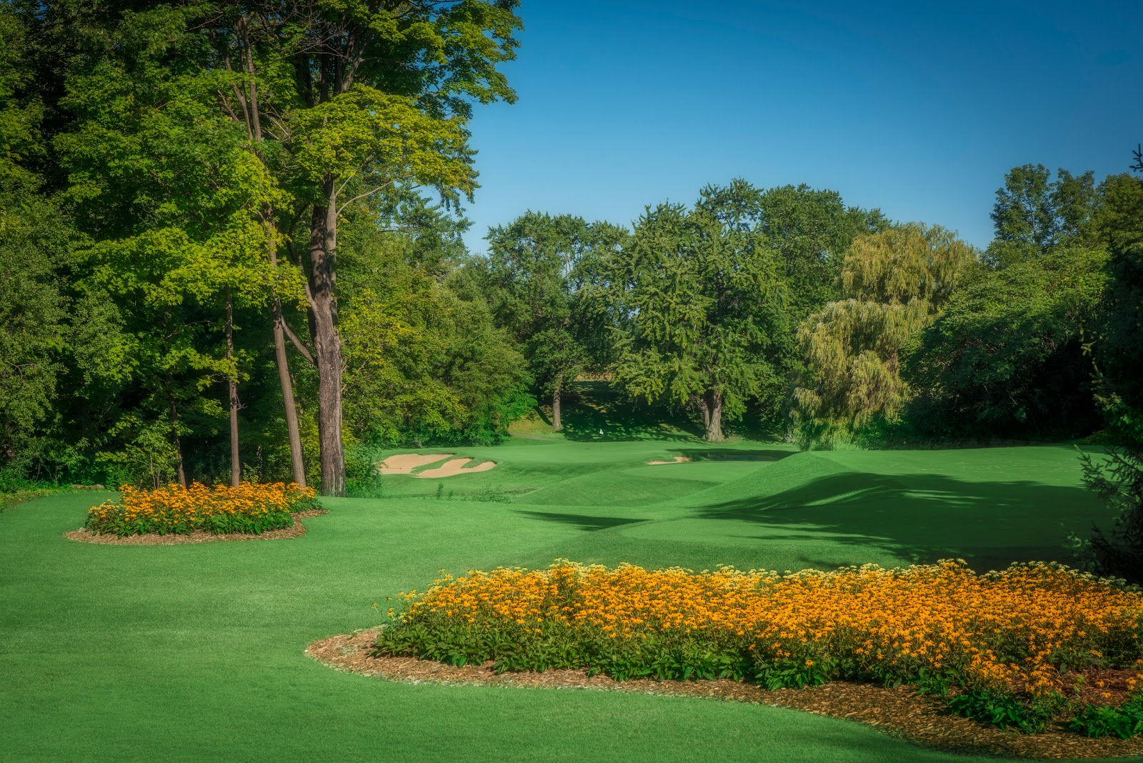 North Shore Golf Club
