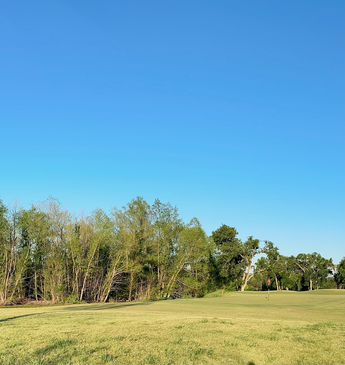Mesquite Golf Club - Golf Course