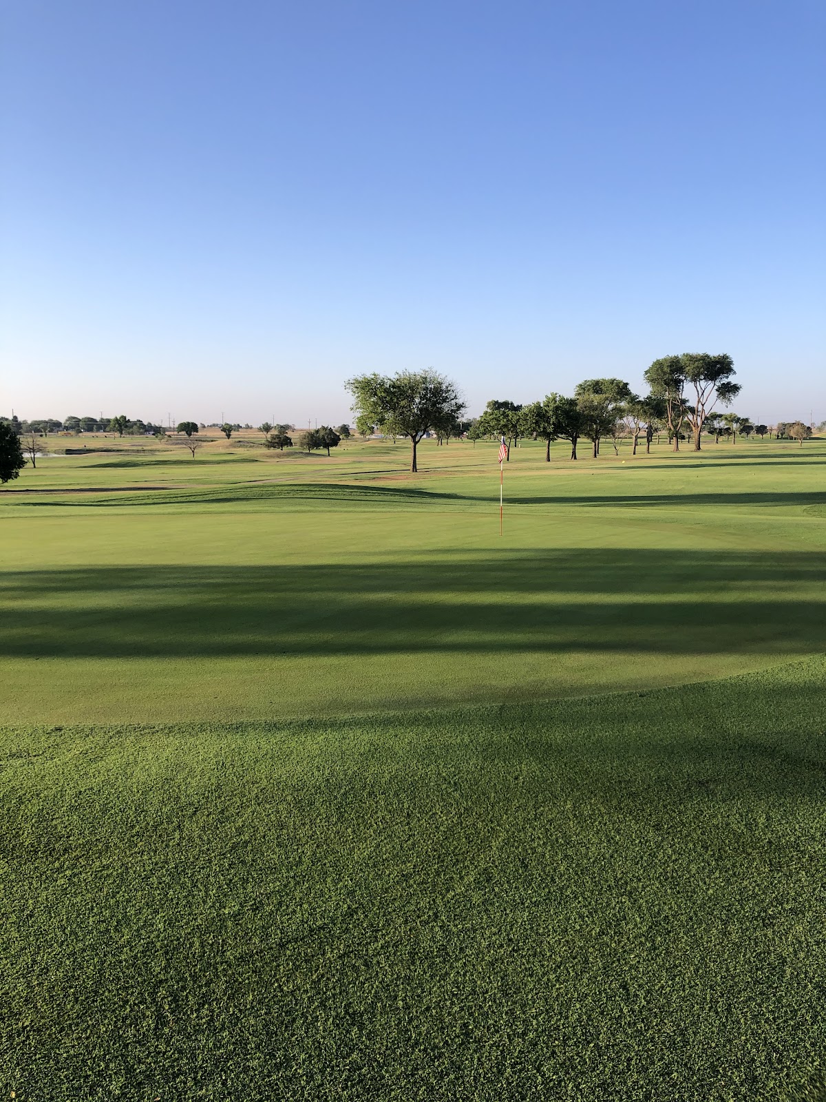Reese Golf Center