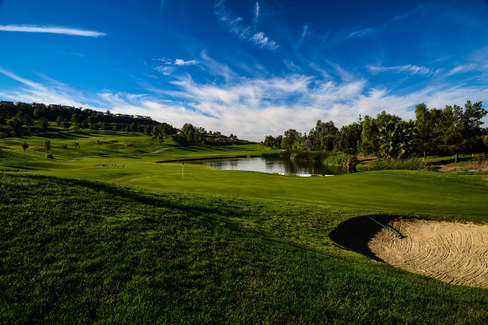 Westridge Golf Club - Golf Course