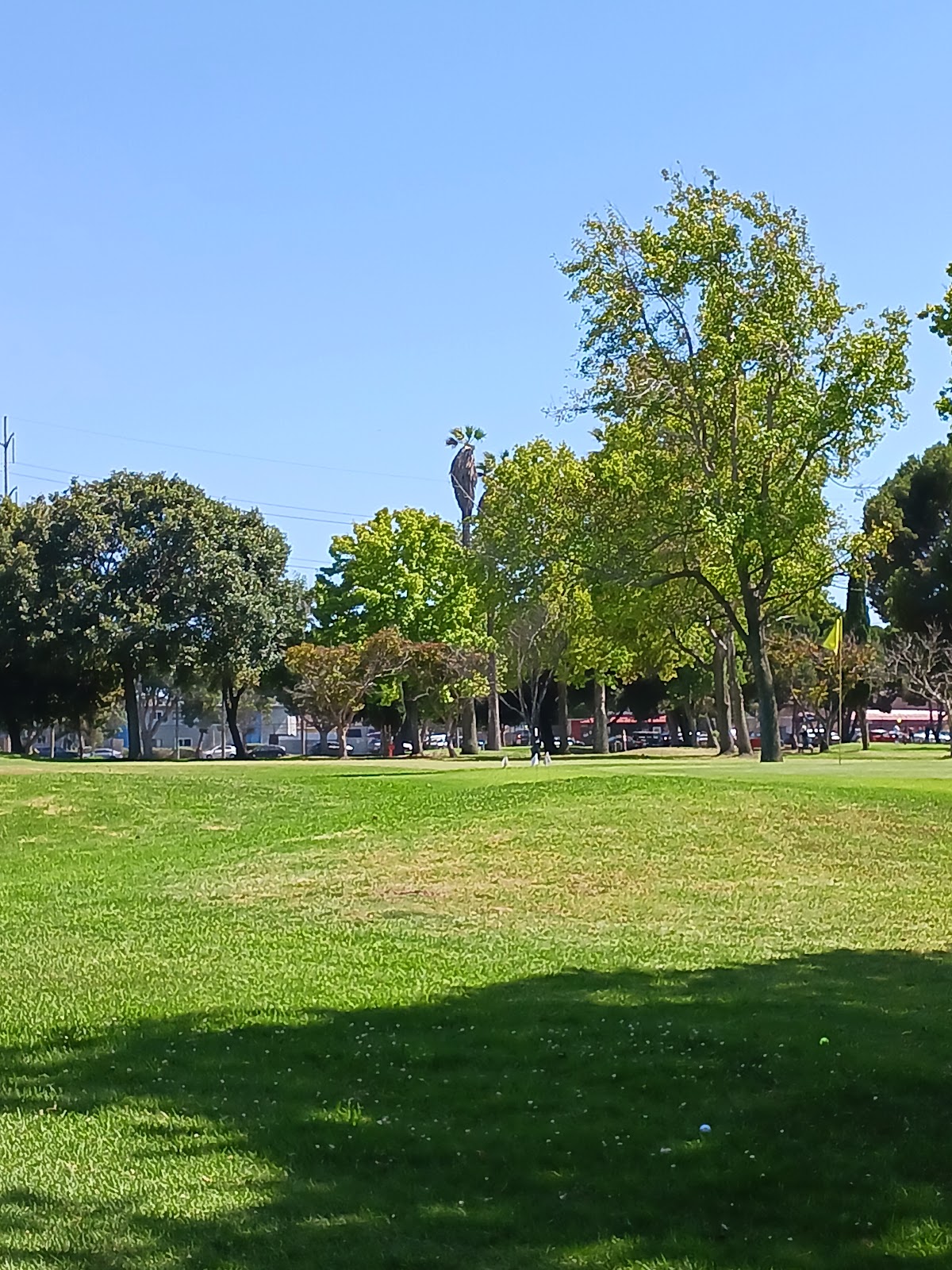 Alondra Park Golf Course - Golf Course