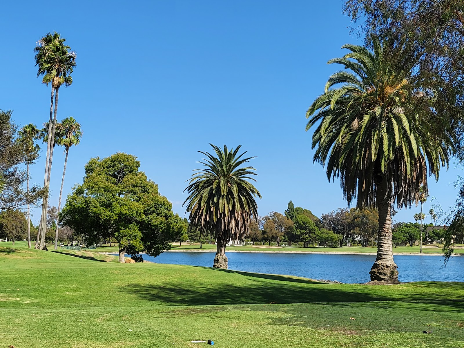 Lakewood Country Club - Golf Course