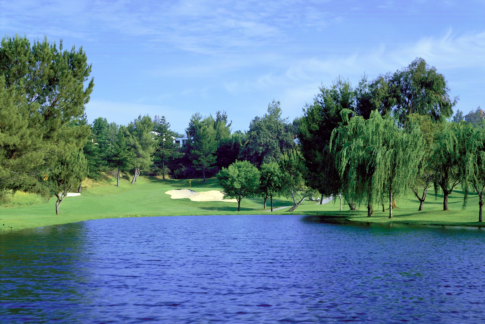 Vista Valencia Golf Course - Golf Course