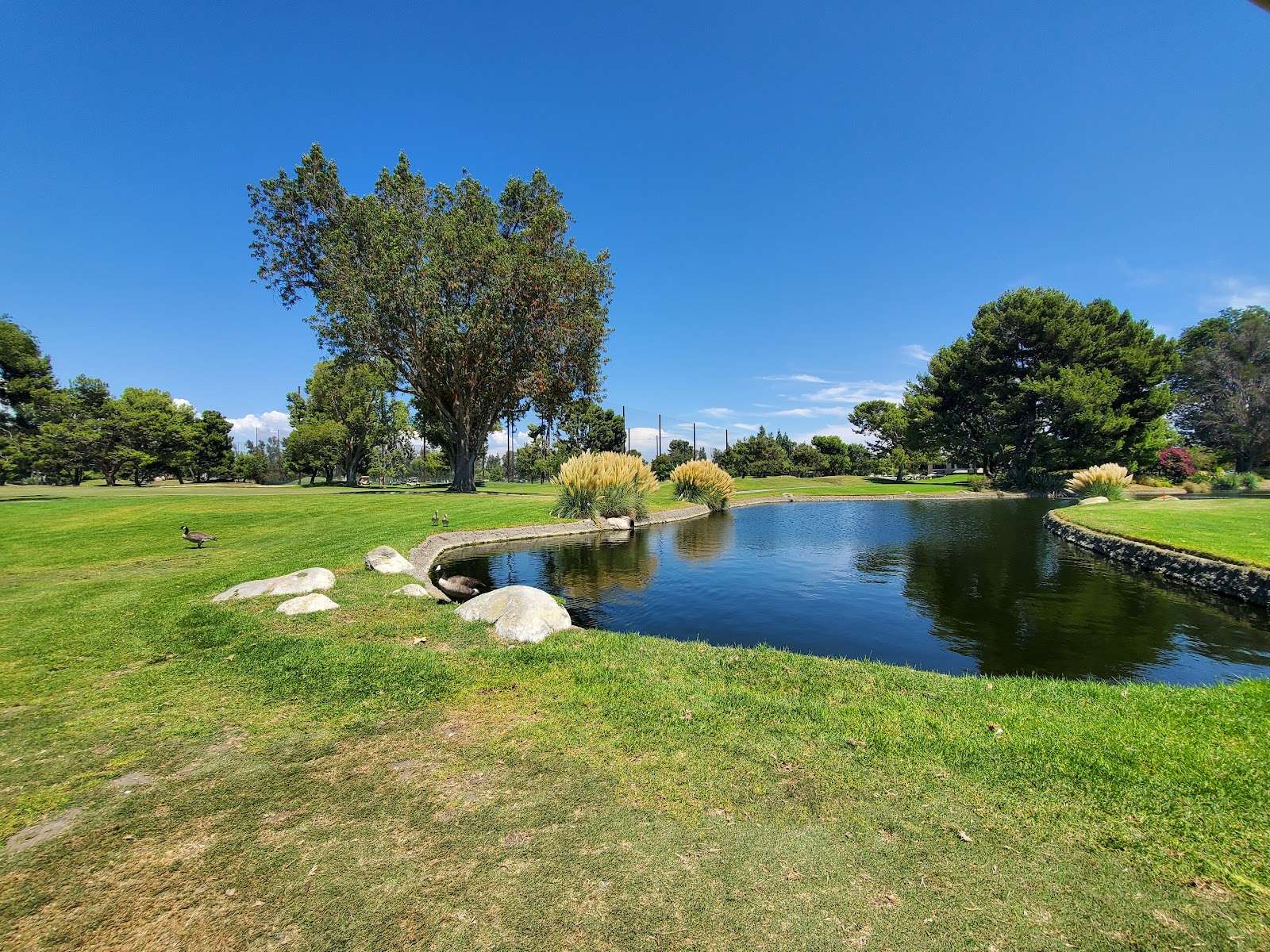 Rio Hondo Golf Club - Golf Course