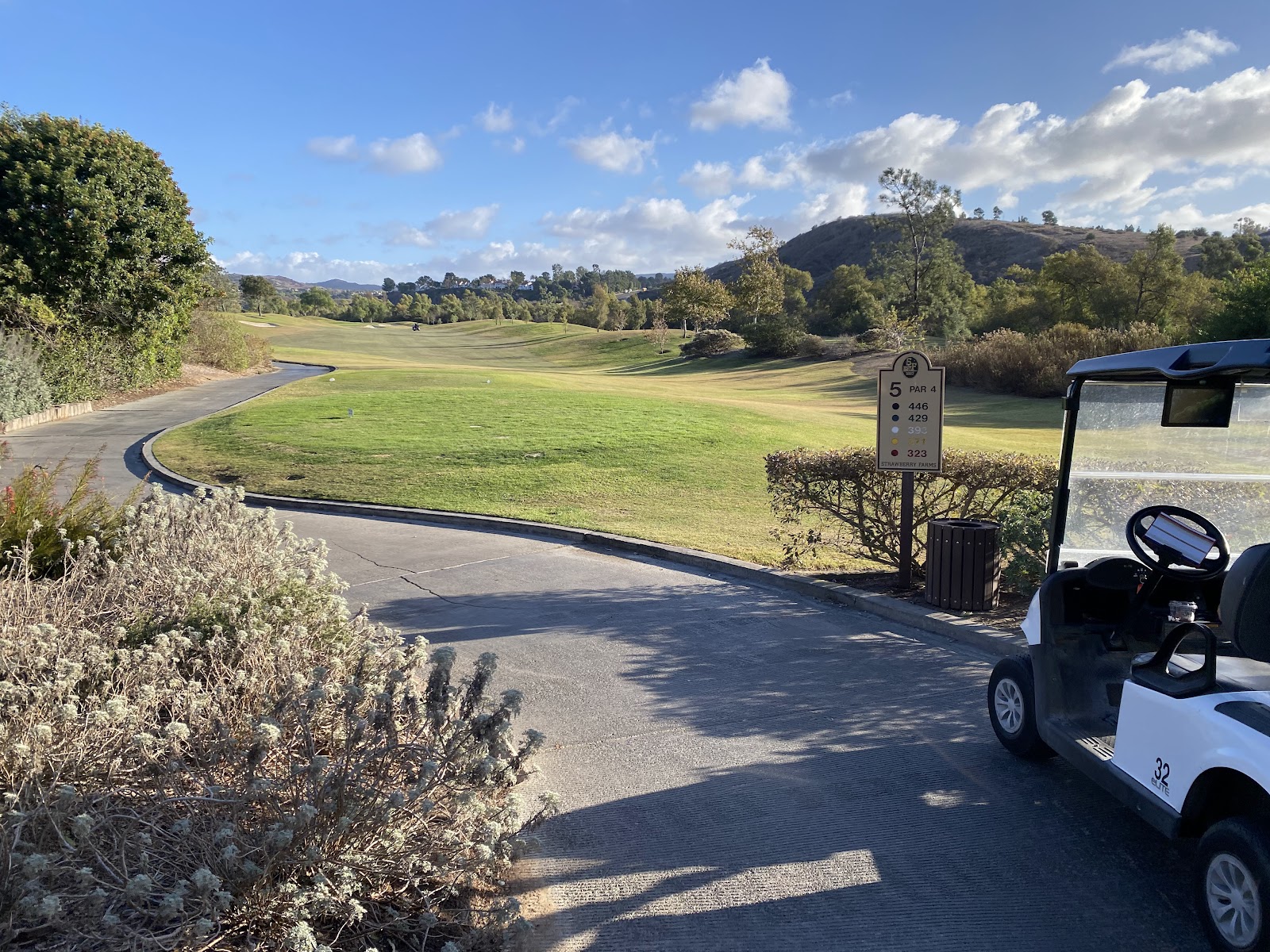 Strawberry Farms Golf Club - Golf Course