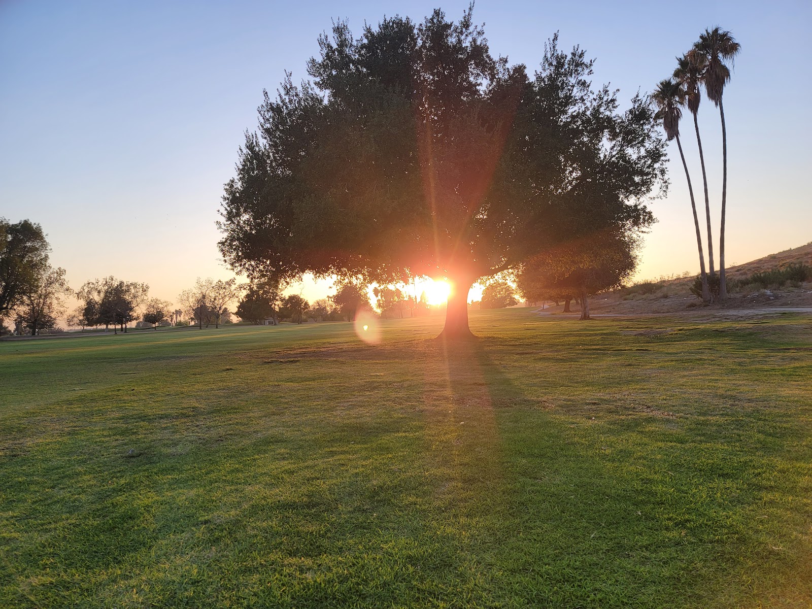 Hansen Dam Golf Course - Golf Course