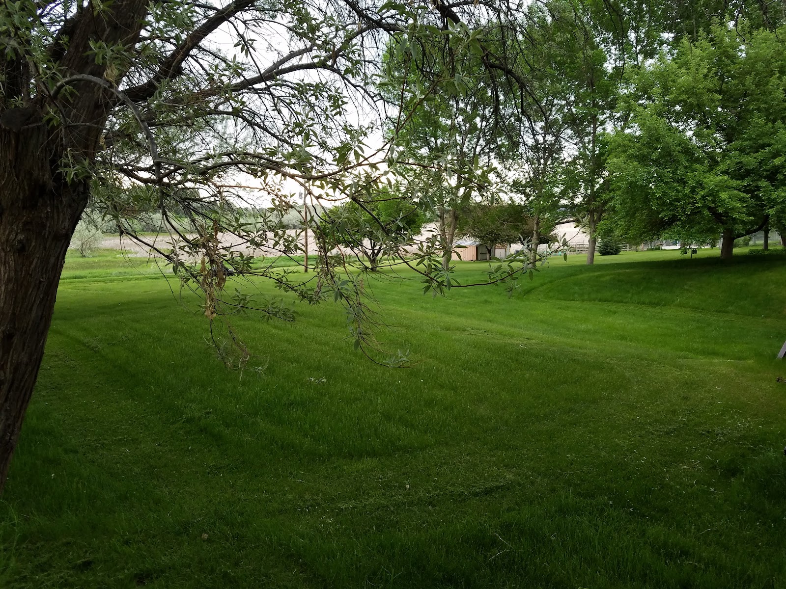 Laurel Golf Club Maintenance Shop