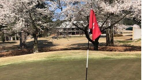 Burningtree Country Club - Golf Course