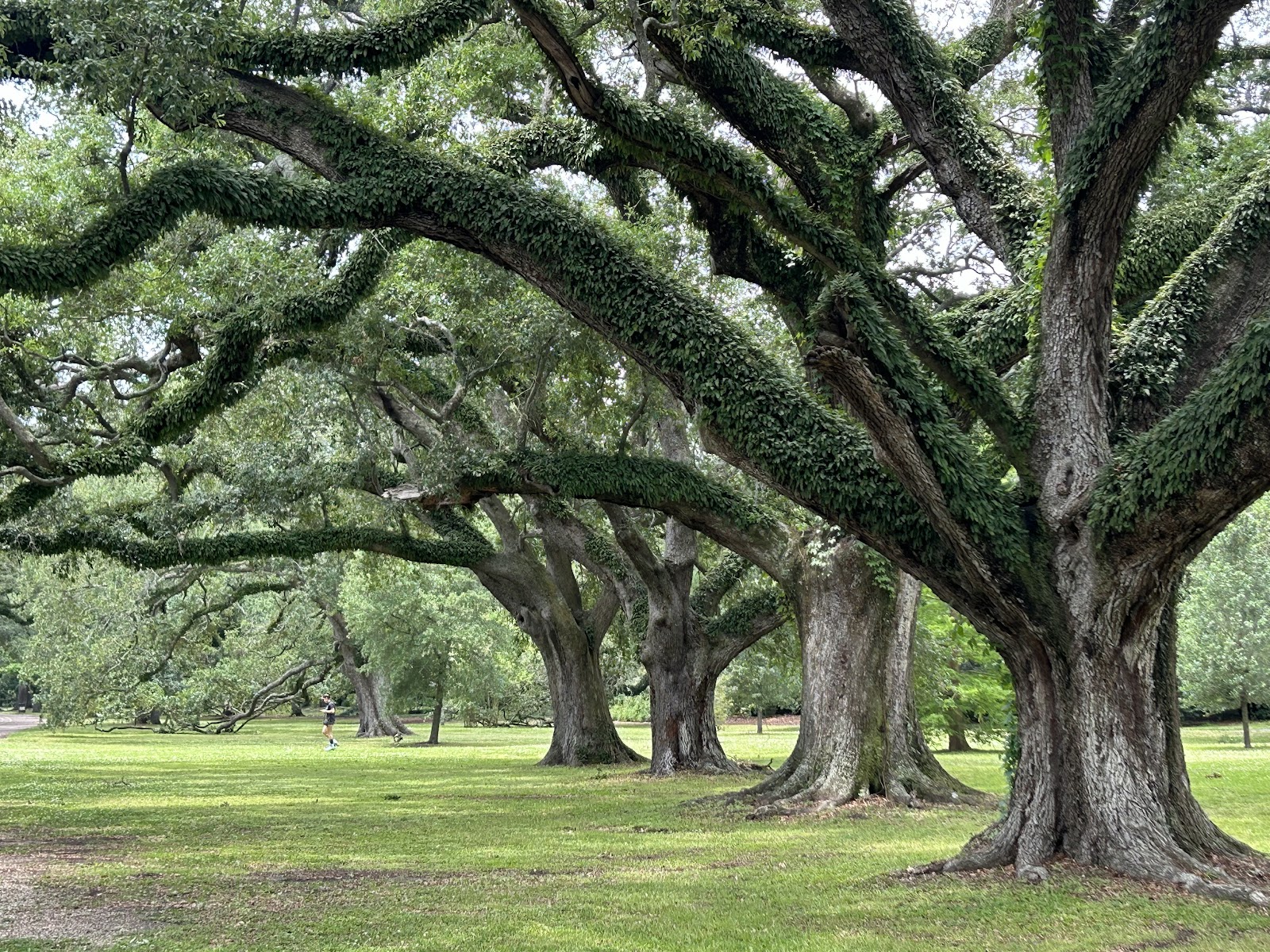 Golf Club at Audubon Park