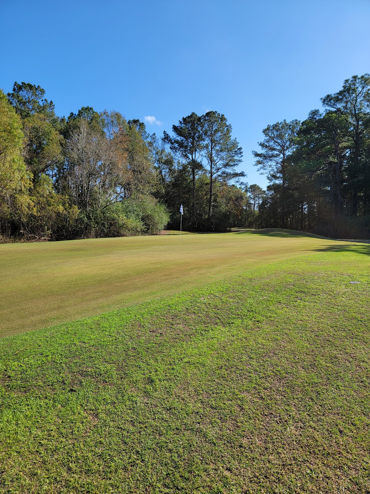Royal Golf Club - Golf Course
