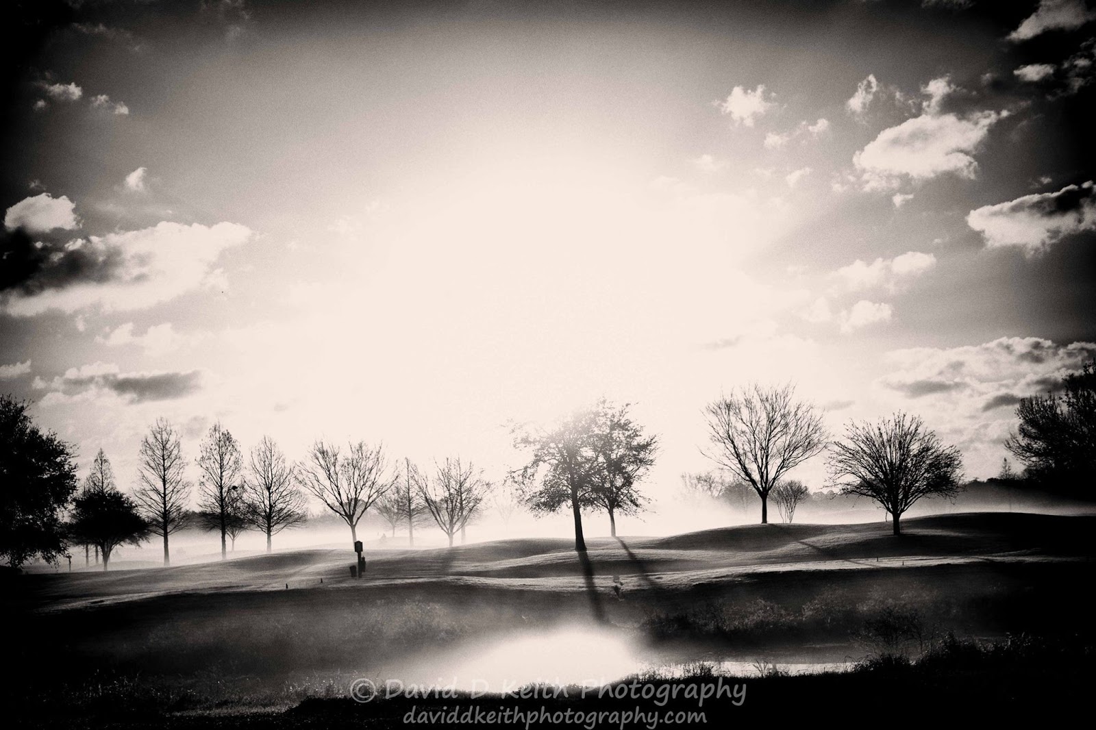 The Island Golf Course - Golf Course