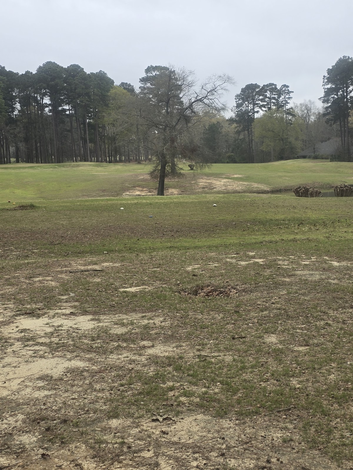 Lake D'Arbonne Golf Course