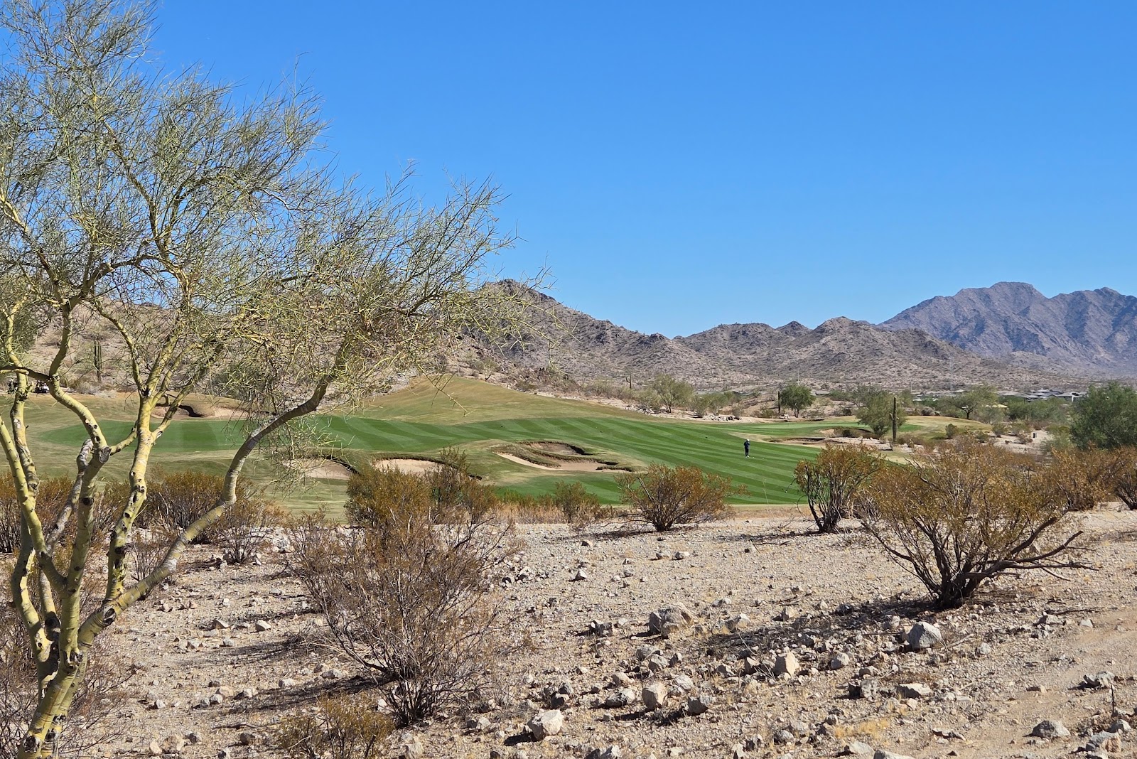 Golf Club of Estrella - Golf Course