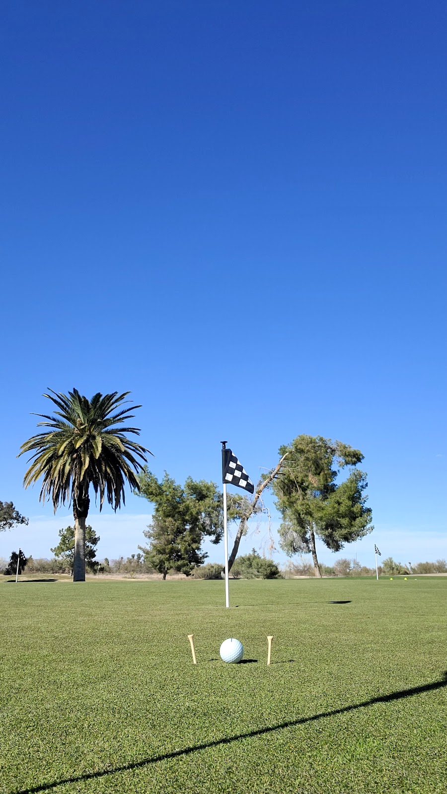 Silverbell Golf Course - Golf Course