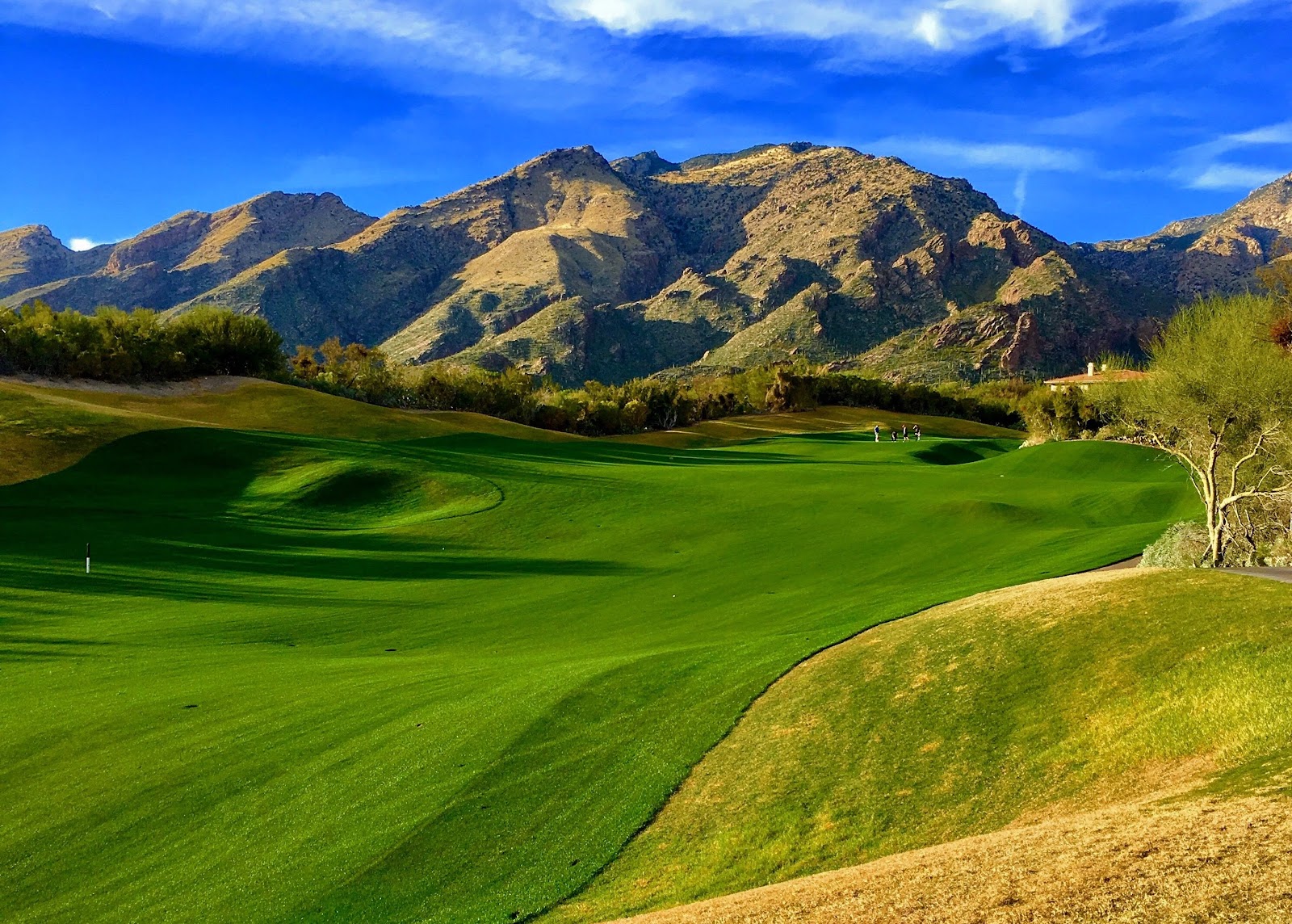Ventana Canyon Golf & Racquet Club - Golf Course