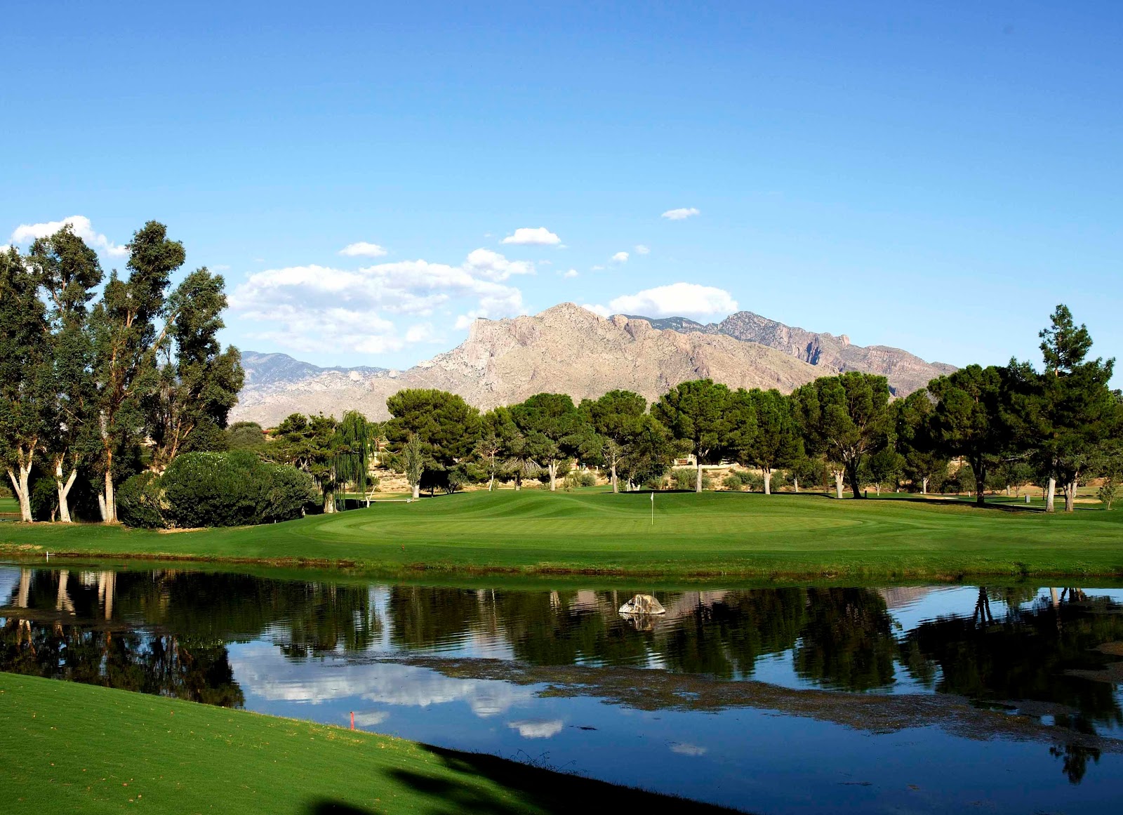 Omni Tucson National Resort and Spa - Golf Course - Golf Course