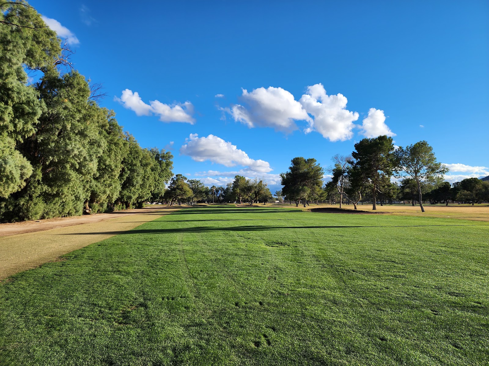 El Rio Golf Course - Golf Course