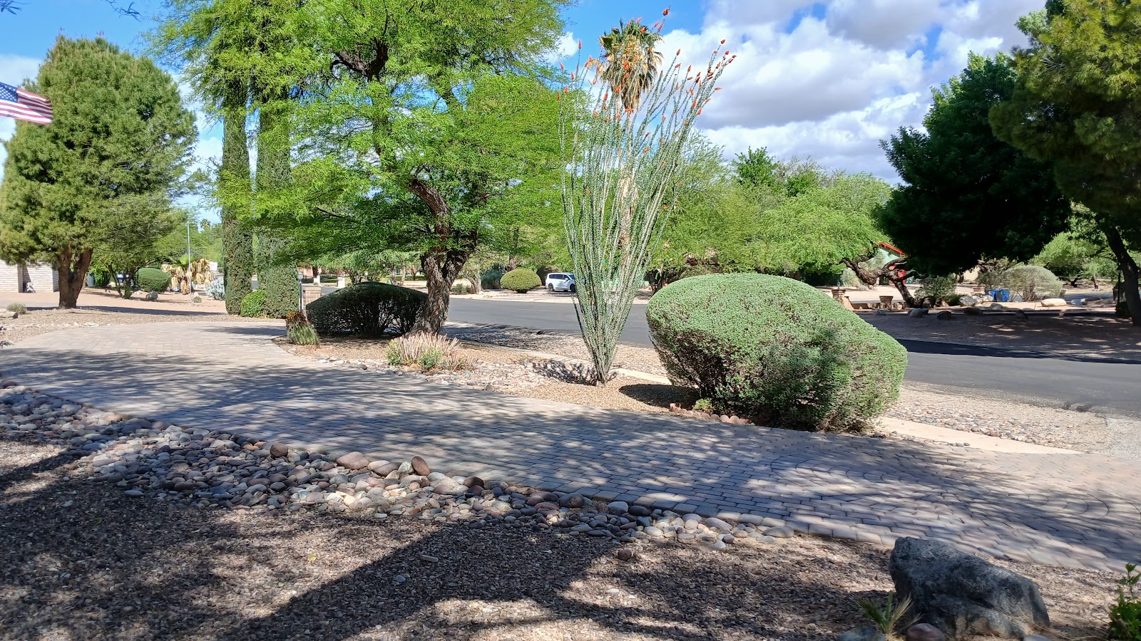 Forty Niner Country Club Golf Course - Golf Course