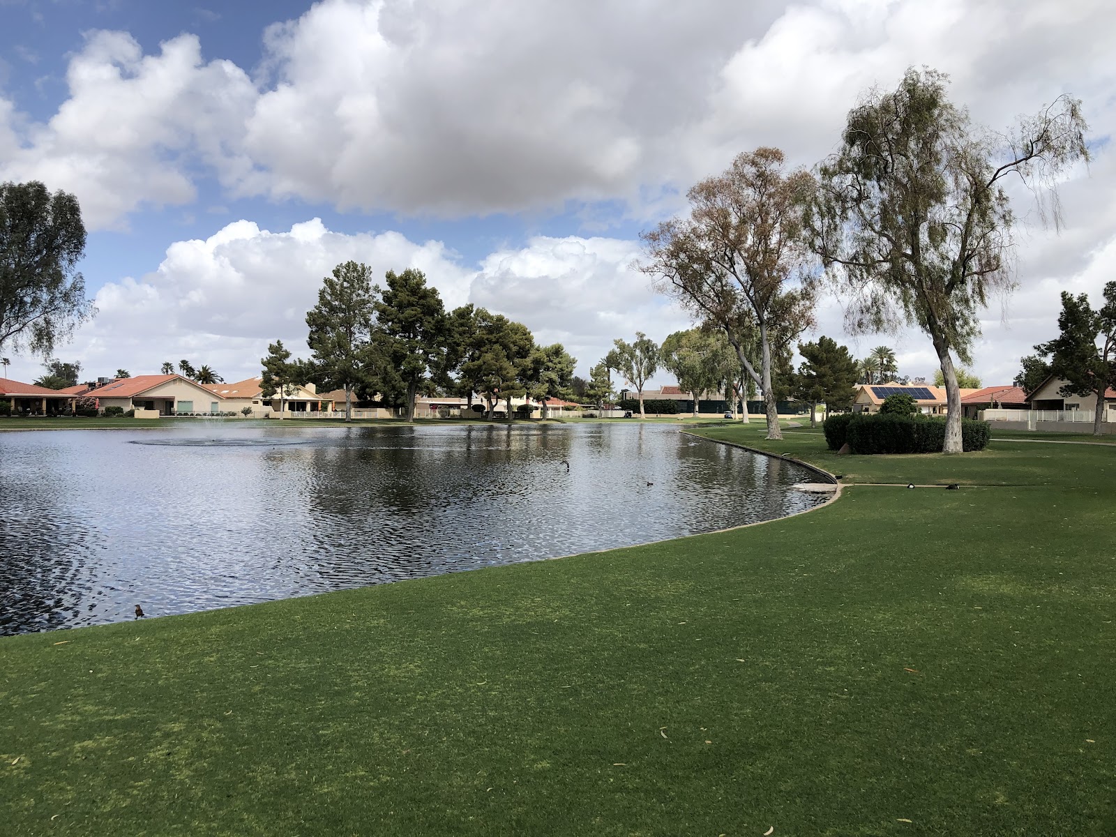 Cottonwood Country Club - Golf Course