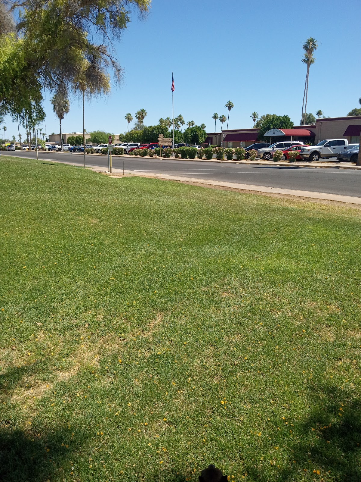 Sun City Country Club