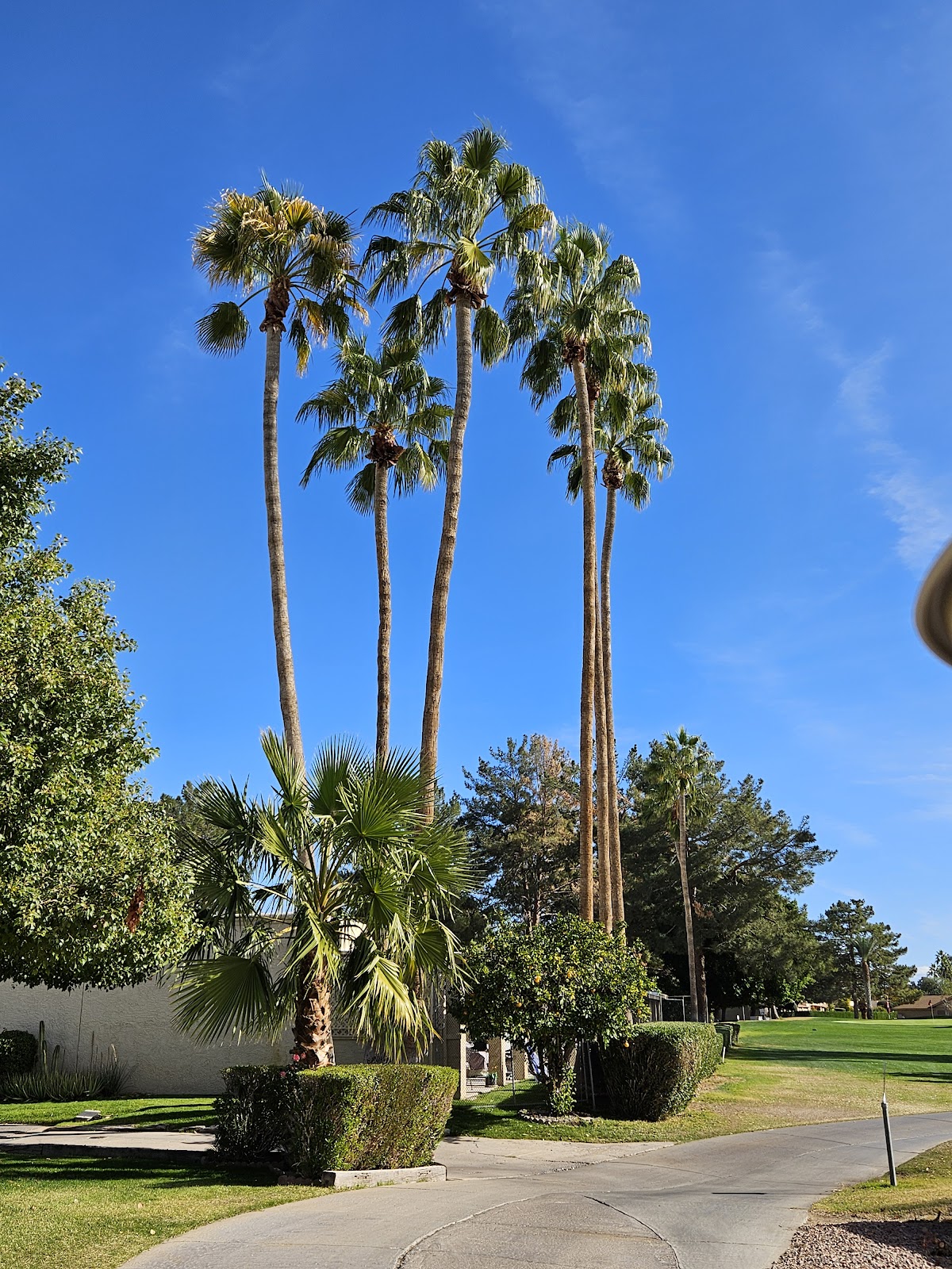 Fountain of the Sun Country Club