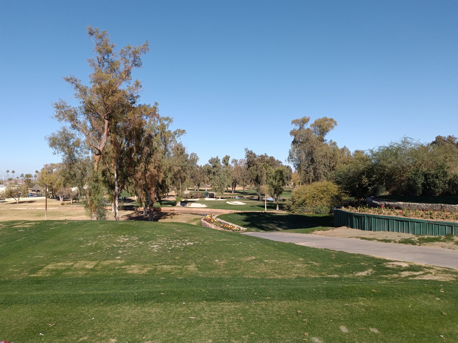 Mesa Country Club - Golf Course