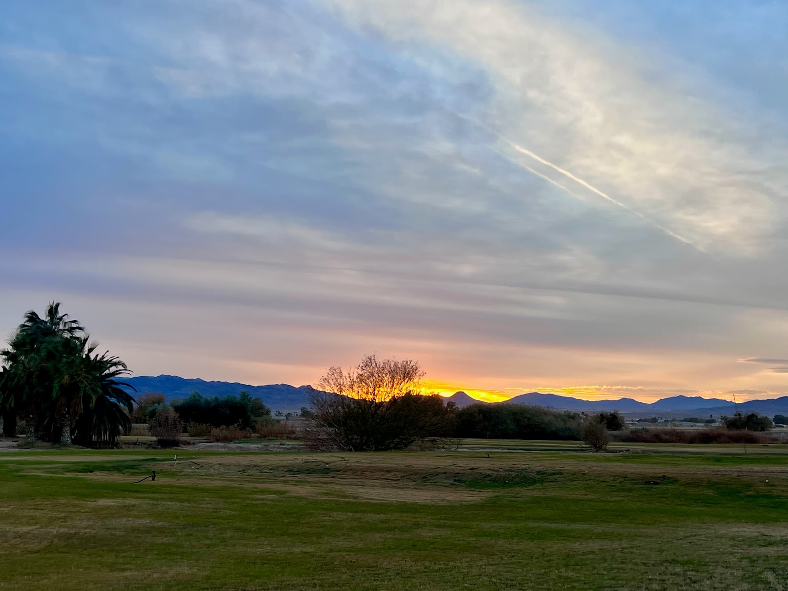 Willow Springs Golf Course - Golf Course