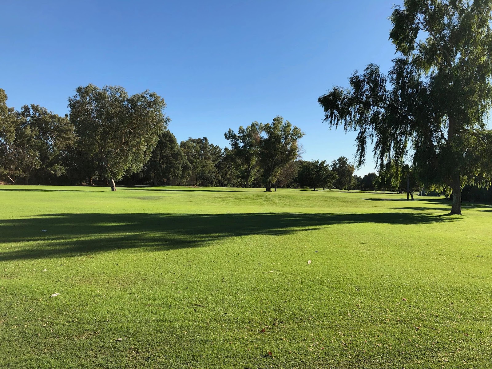 Ironwood Golf Course - Golf Course