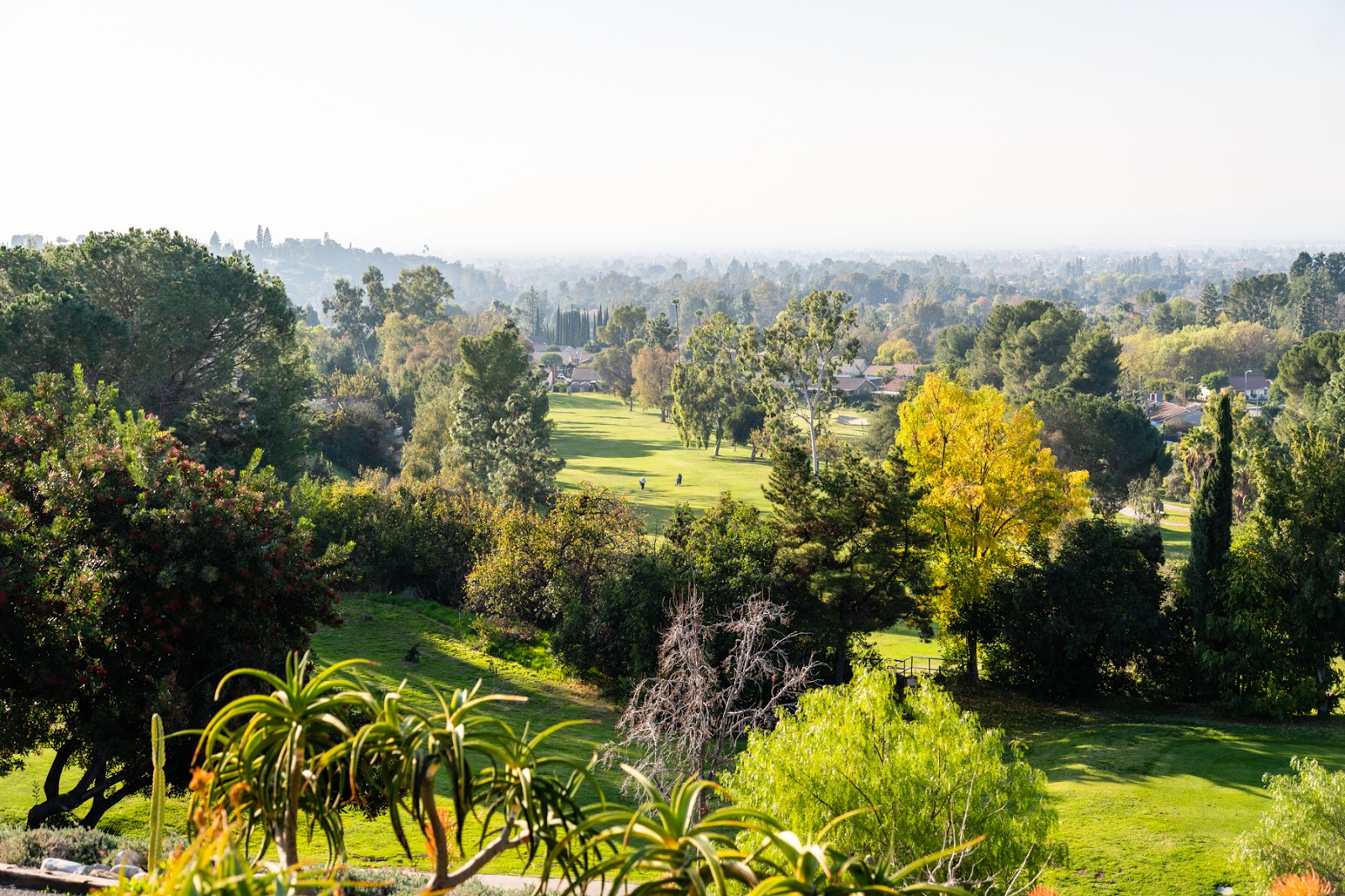 Via Verde Country Club - Golf Course