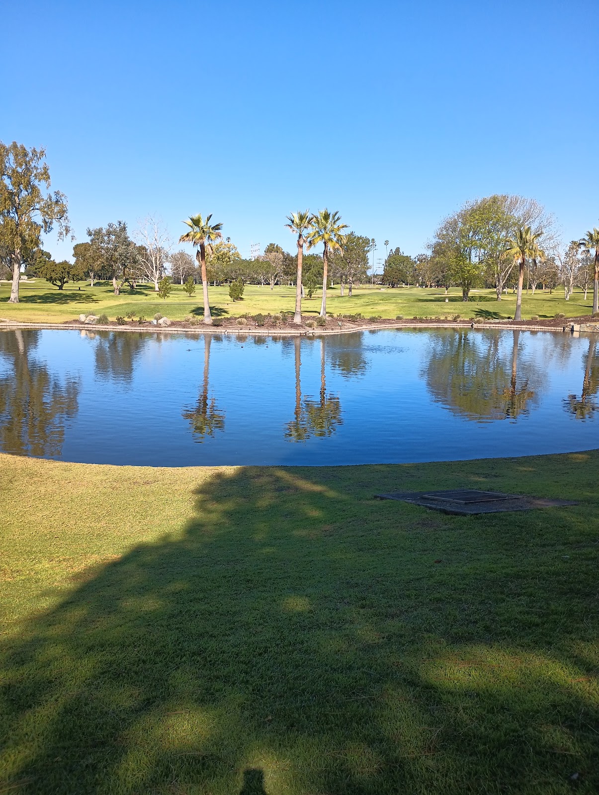 Mesa Verde Country Club - Golf Course