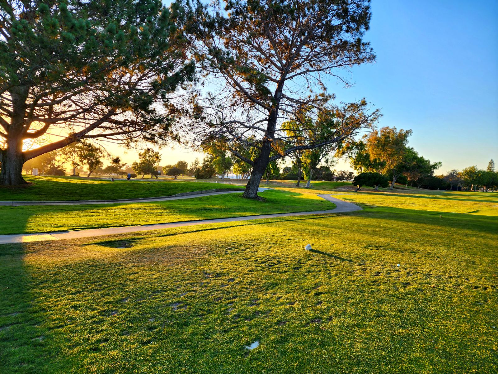 Sea 'N Air Golf Course - Golf Course