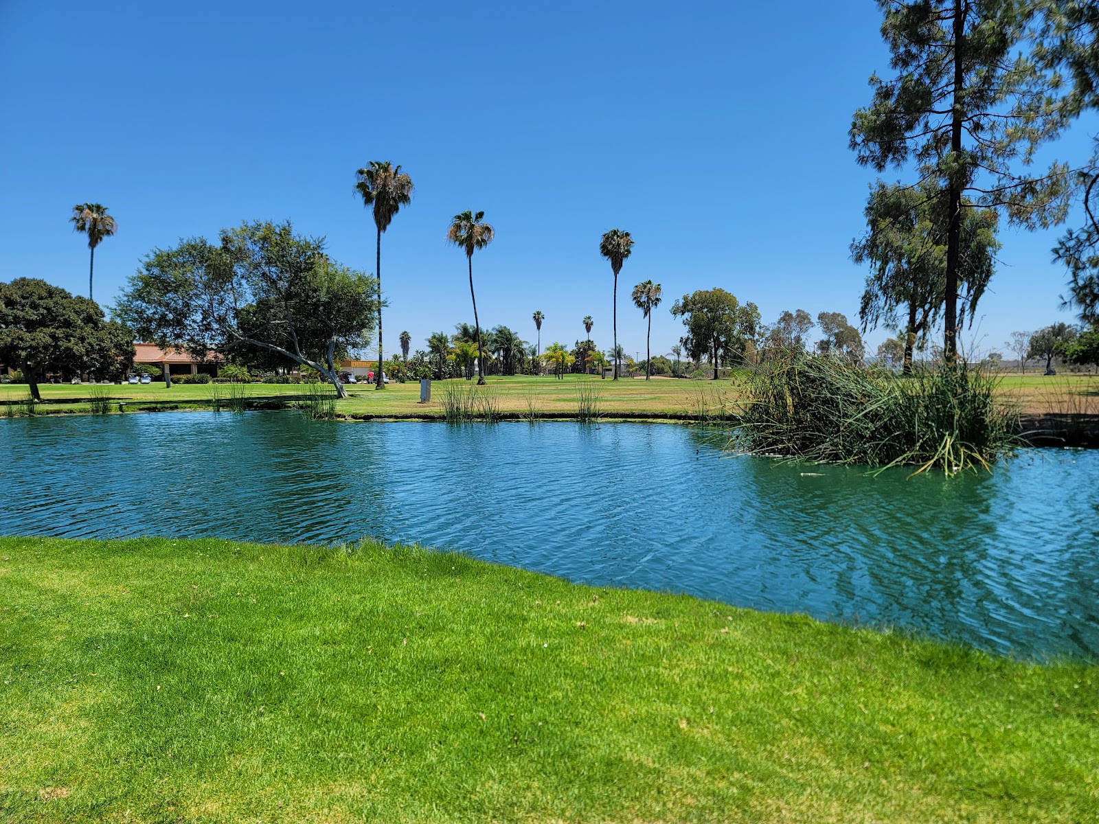 Miramar Memorial Golf Course - Golf Course
