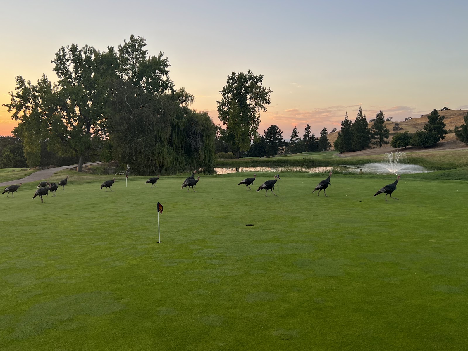 Boundary Oak Golf Course - Golf Course