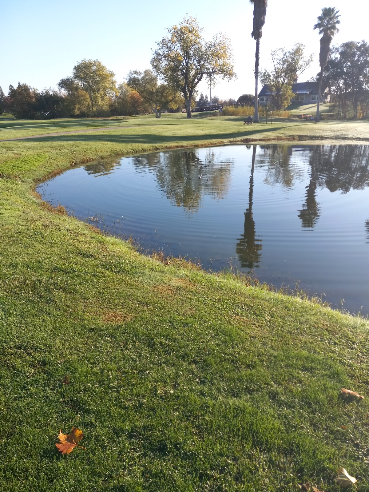 Antelope Greens Golf Course - Golf Course