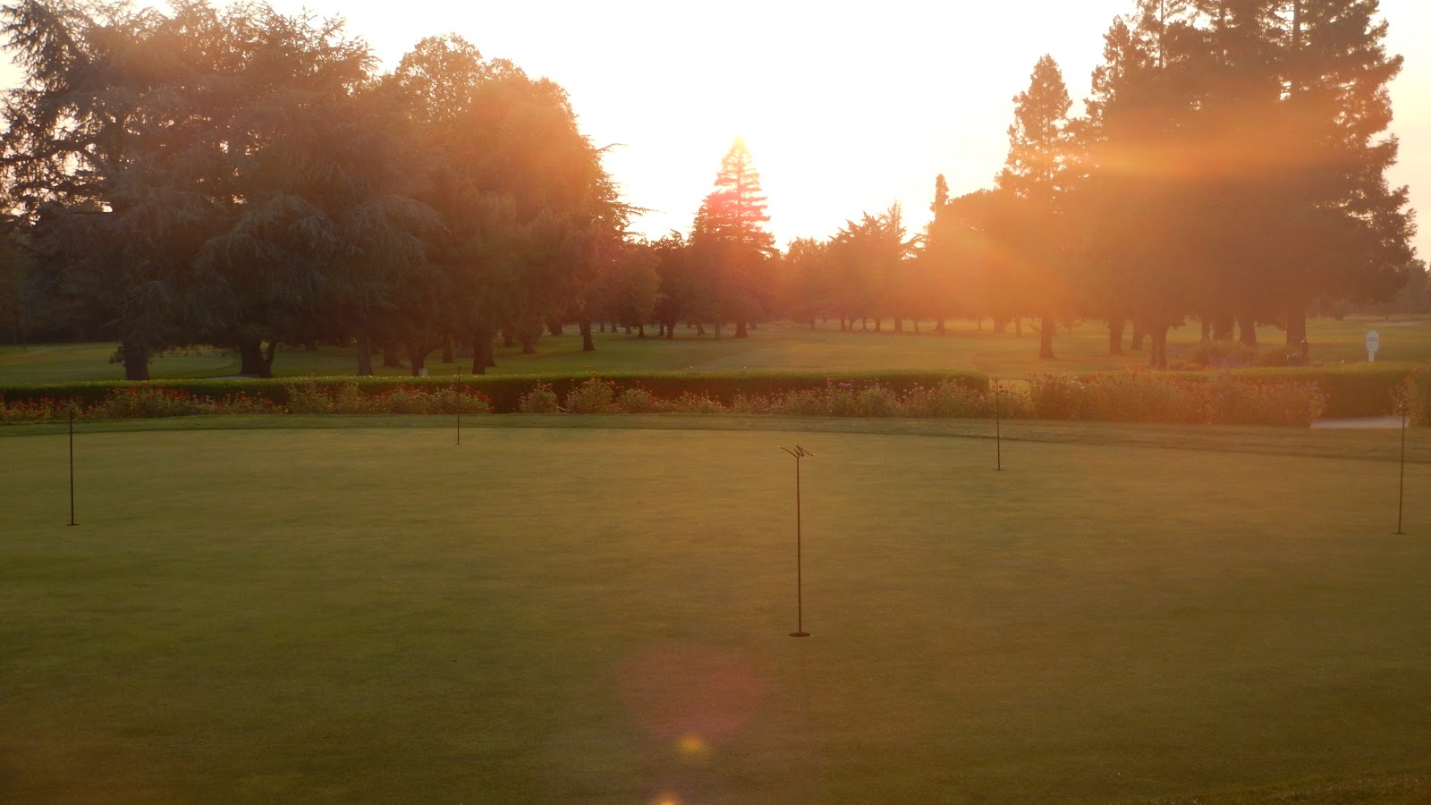 Woodbridge Golf & Country Club