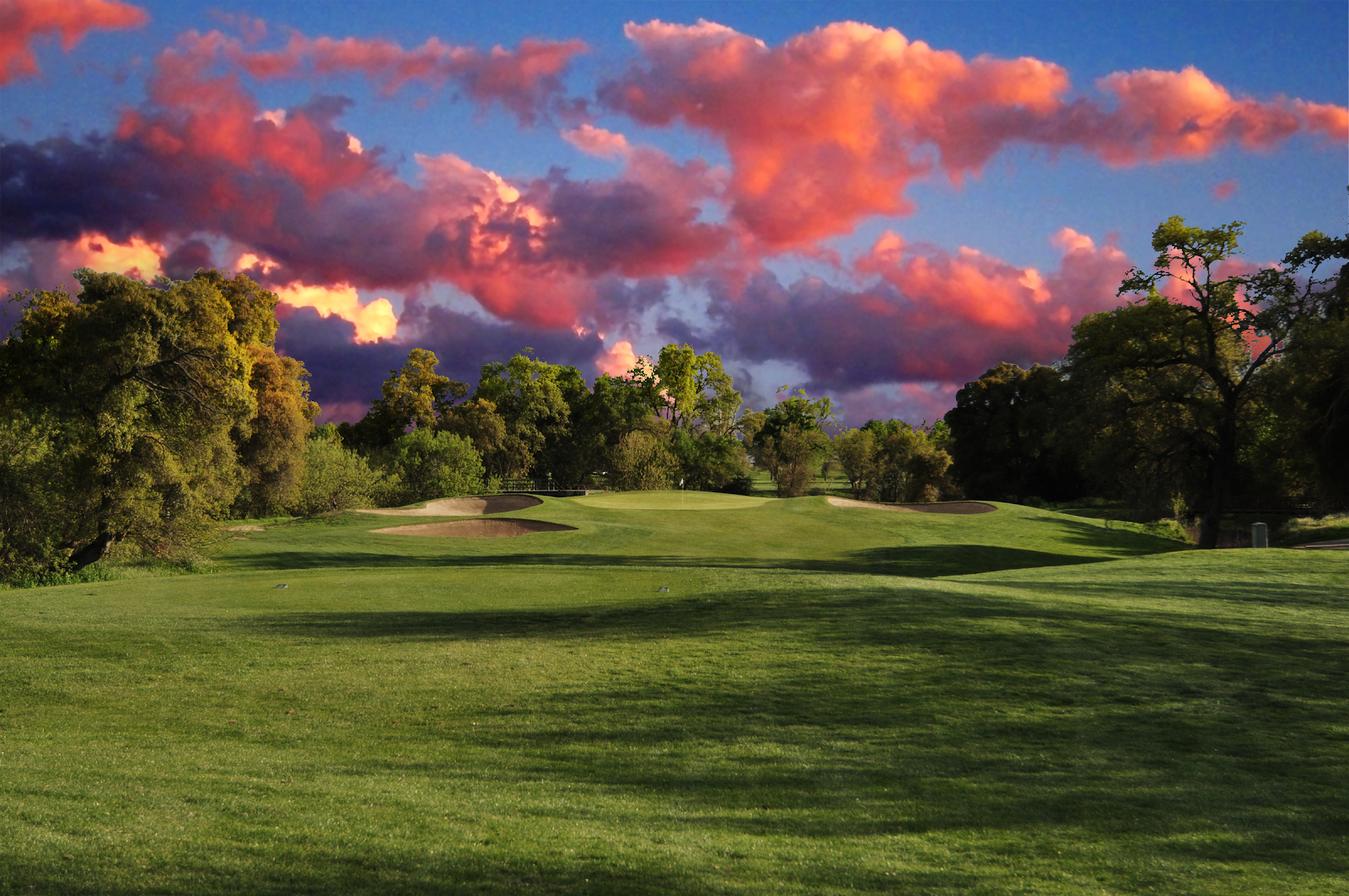 Alister Mackenzie Golf Course - Golf Course