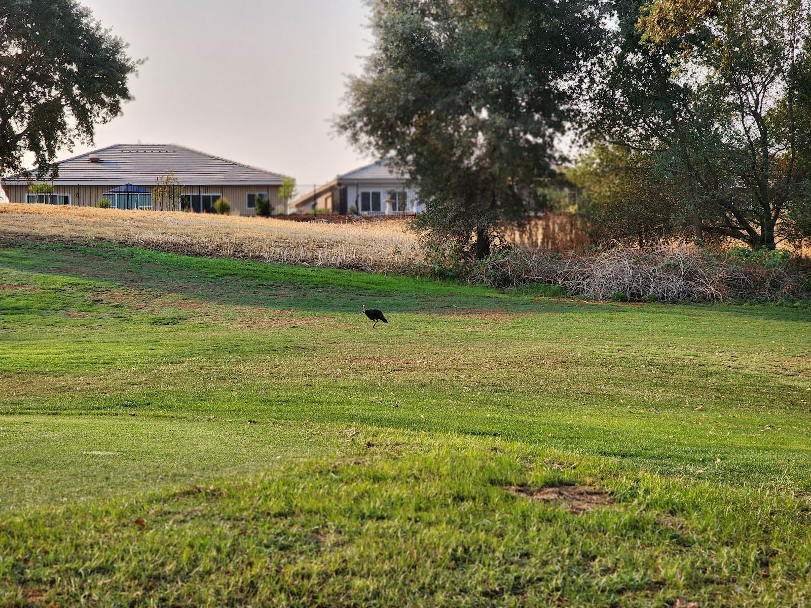 Castle Oaks Golf Club