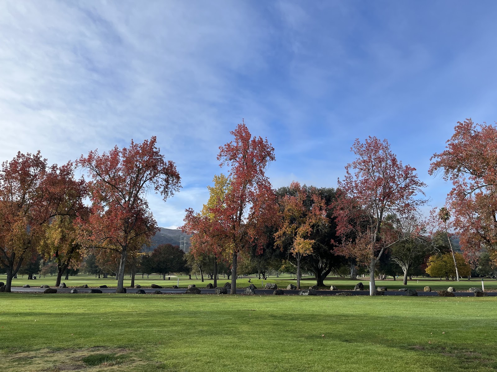 Santa Teresa Golf Club - Golf Course