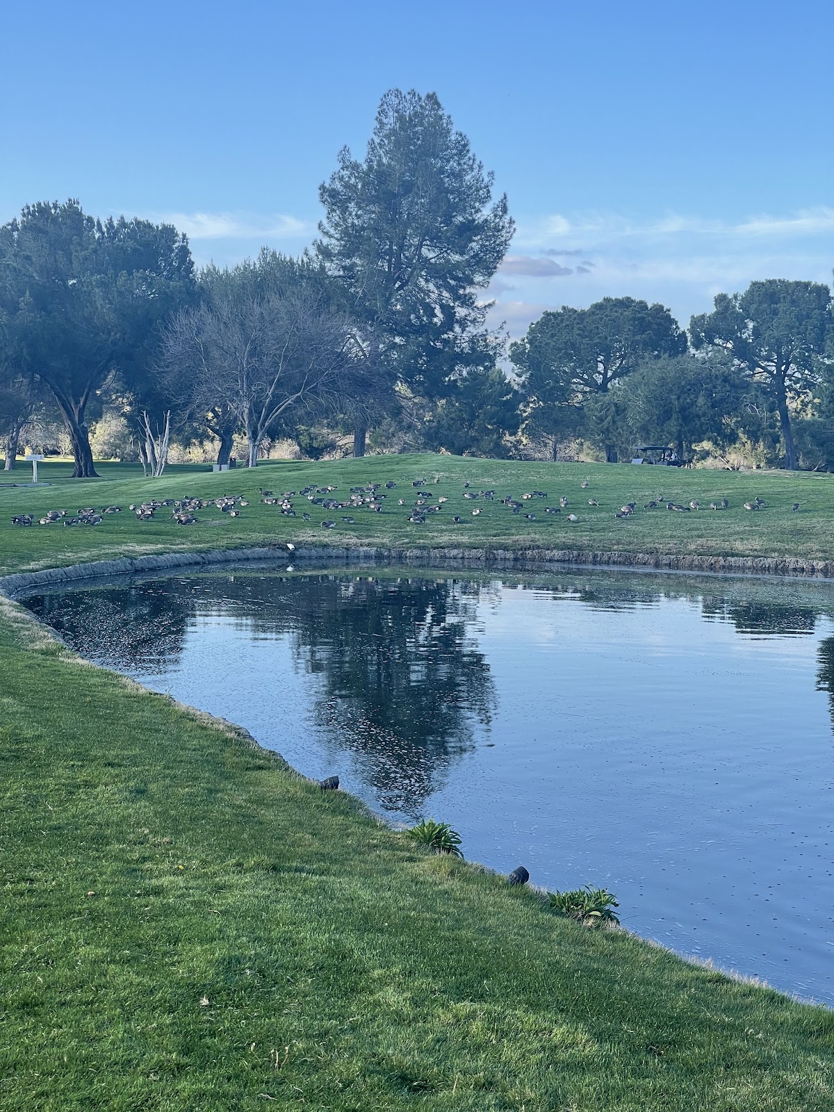 Temecula Creek Golf Club - Golf Course
