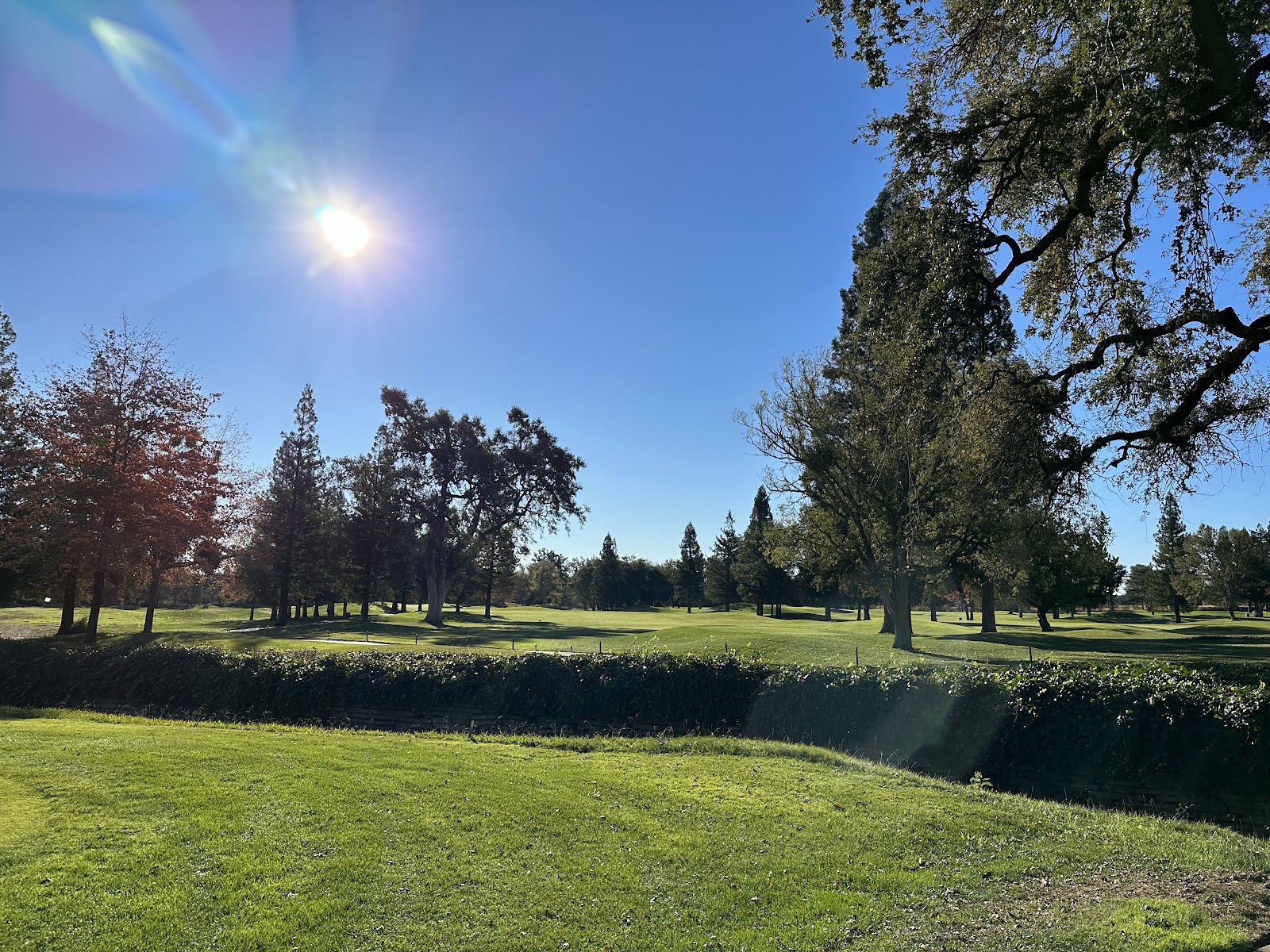 Sonoma Golf Club - Golf Course