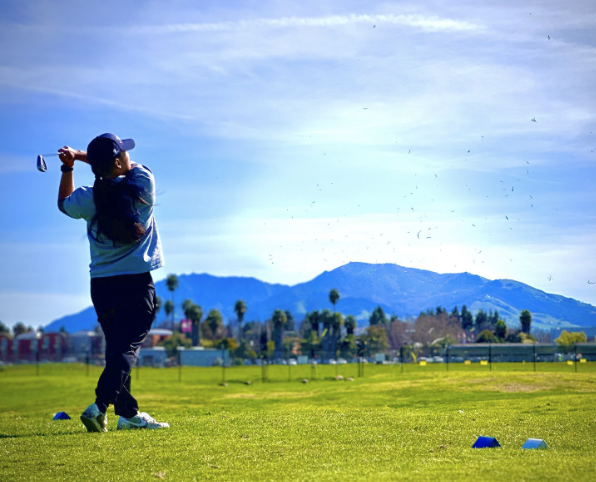 Skylinks at Buchanan Fields Golf Course - Golf Course