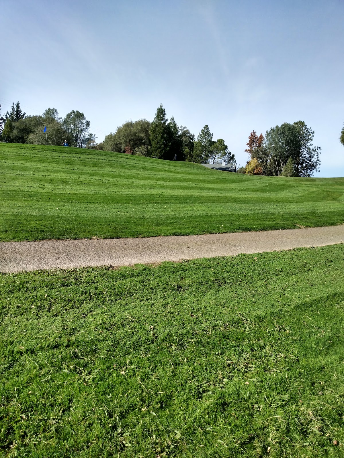 Lake of the Pines Proshop and Golf Course - Golf Course