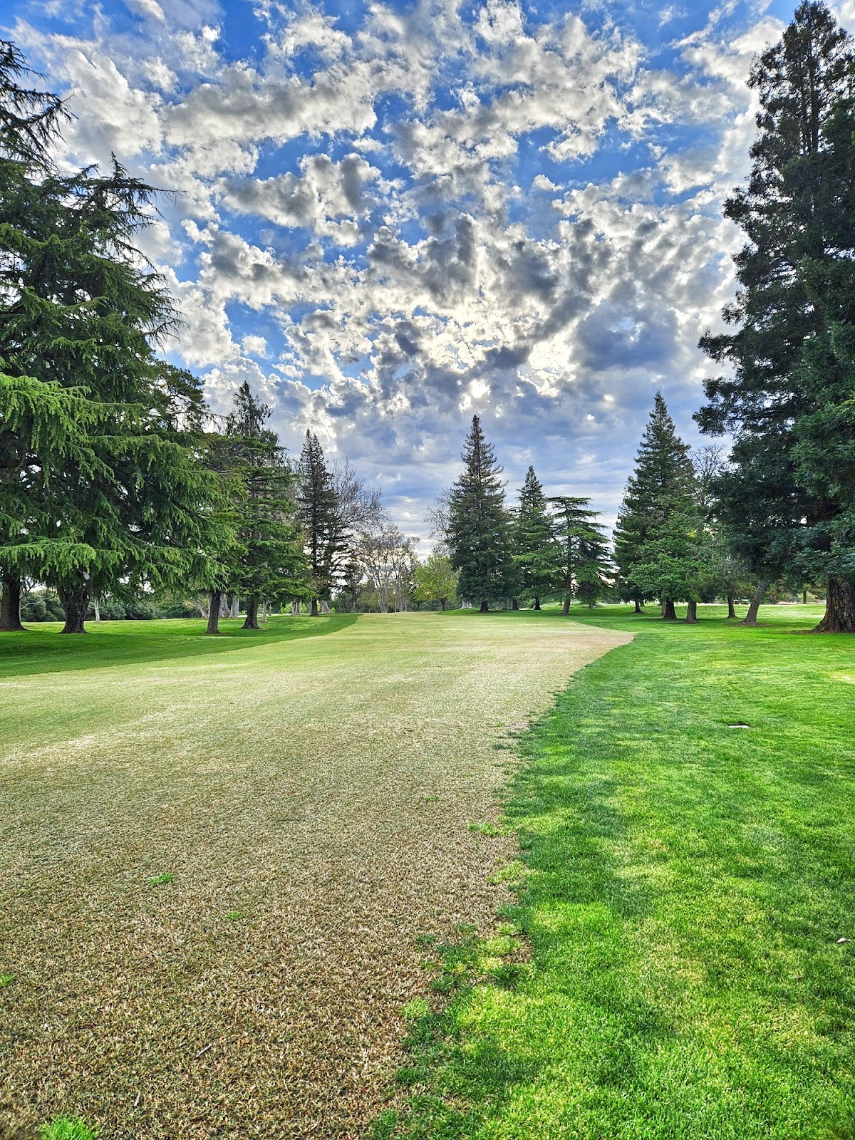 Peach Tree Golf & Country Club - Golf Course